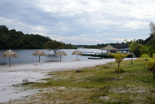 Amazon river floodplain near Manaus