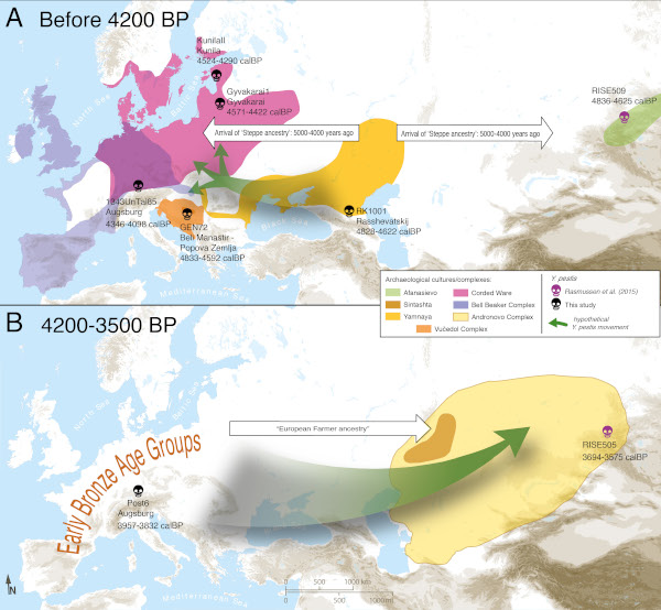 Map of proposed Yersinia pestis circulation throughout Eurasia