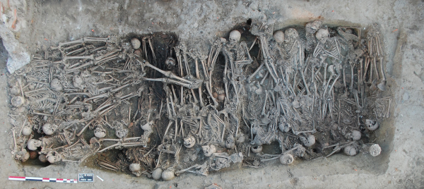 Mass grave dating to the Black Death period, identified in the 16 rue des Trente Six Ponts archaeological site in Toulouse, France